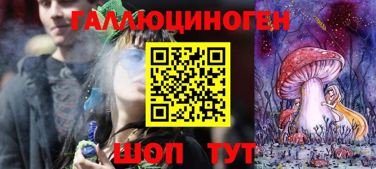 Псилоцибиновые грибы Psilocybine cubensis Юрга