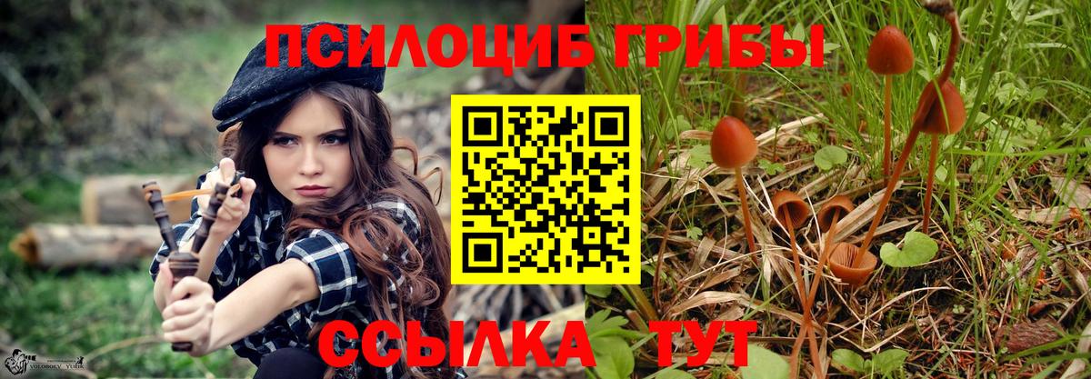 Псилоцибиновые грибы прущие грибы  Вход с VPN  Галлюциногенные грибы ЛСД  Юрга 
